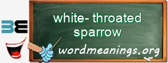 WordMeaning blackboard for white-throated sparrow